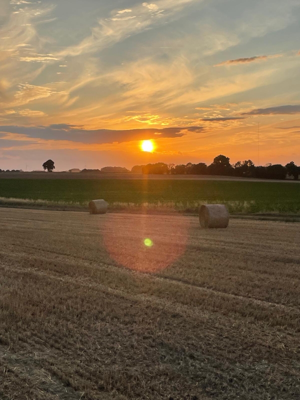 📸 [CONCOURS PHOTO D'ETE - LUMIERES SUR MA FERME]

Photo N°20 🌾 Coucher de soleil doré à Étreux…
Quand la journée s’achève, les balles de paille prennent la pause sous un ciel aux reflets enflammés. Un moment paisible, capturé par Thomas et Cécile Florin.
📍 Étreux