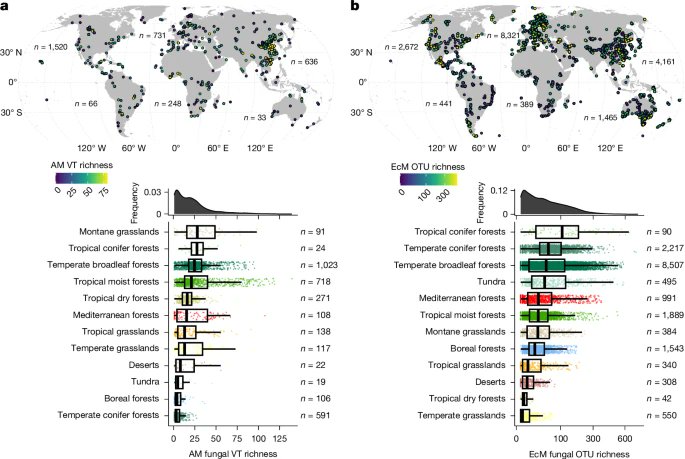 New publication: Global hotspots of mycorrhizal fungal richness are poorly protected. #biodiversity #conservationbiology #mycorrhizalfungi
doi.org/10.1038/s41586…