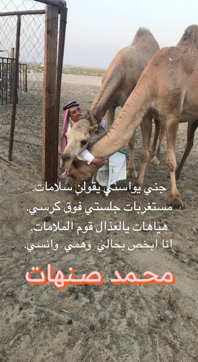 محمد الصنهات (@abumajid400) on Twitter photo 