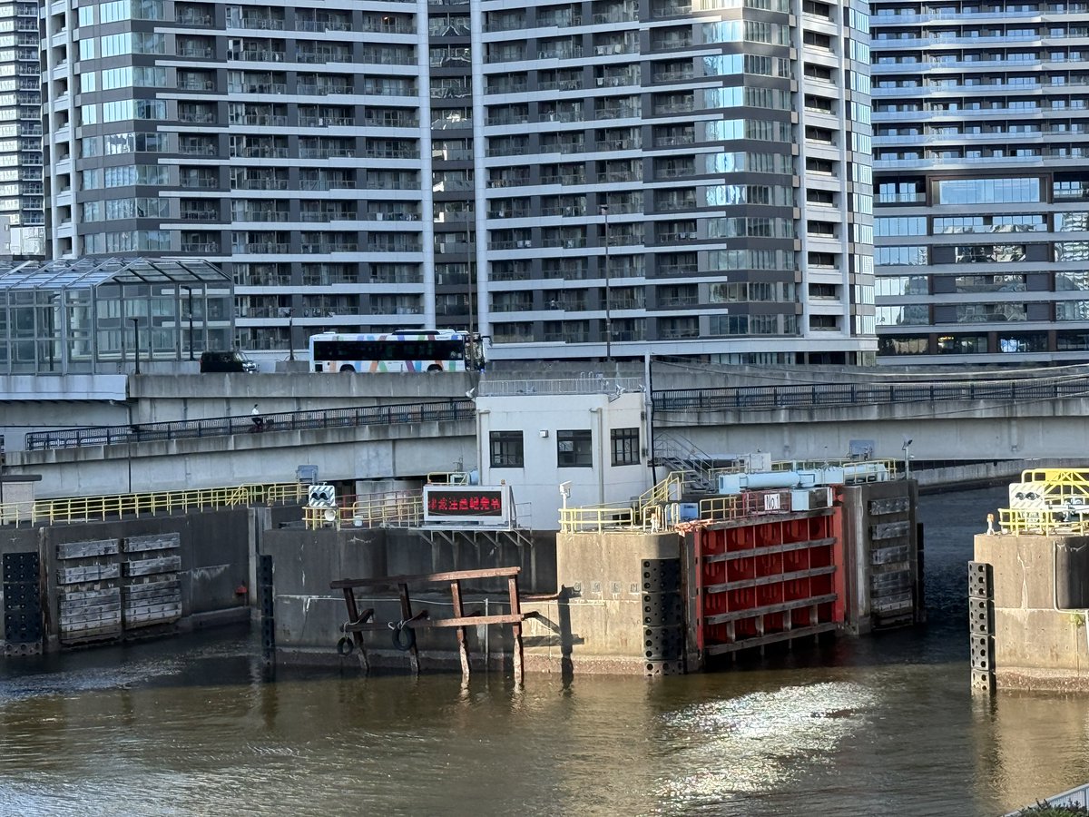 HARUMI TERRACE on X: 