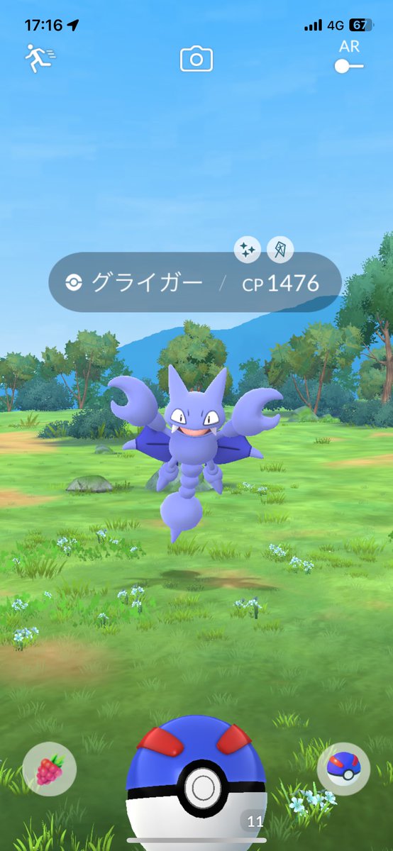 グライガー色違いゲット✨
まさかの個体値98%🤩興奮が収まらぬ🔥
#ポケモンGO #色違い #ポケモンGO色違い