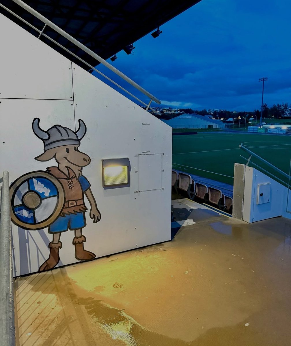 KaWu i koziołek w Islandii 🫡