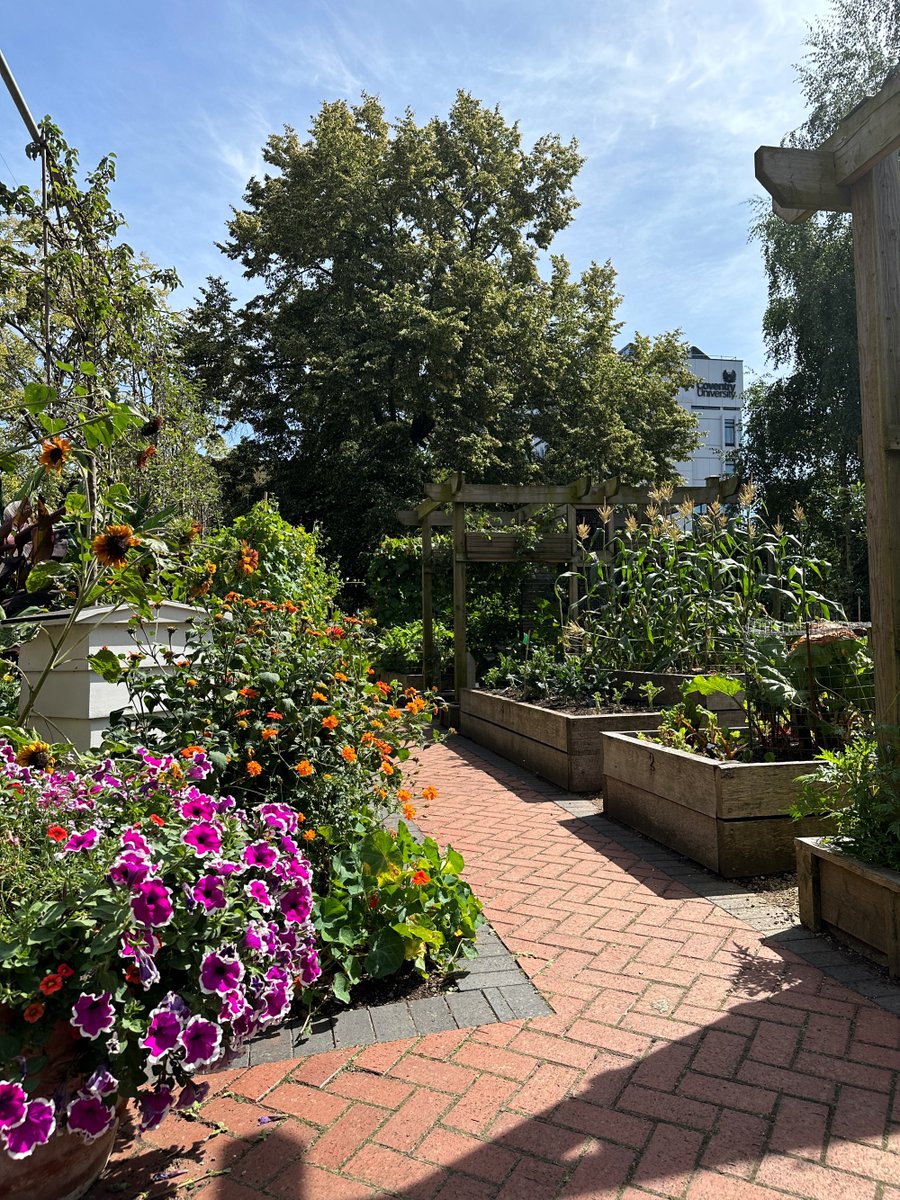 Our work to help pollinators thrive in the city has been recognised with a top award from the Department for Environment, Food and Rural Affairs (<a href="/DefraGovUK/">Defra UK</a>)!

The Bees Needs Champions Award celebrates the work the university has done to transform the green space between the