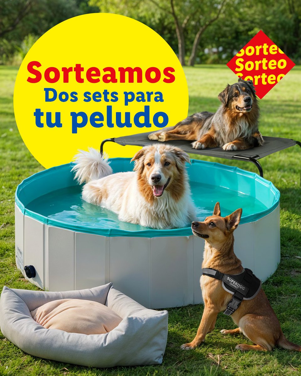 Lidl España (@lidlespana) on Twitter photo 🐶 ¡SORTEO! 🐶
Te mira. Menea la cola. Te vuelve a mirar. Sí, tu mascota quiere este set y lo sabes. Con piscina incluida.
¿Cómo participar?: 👇
1️⃣ Sigue a <a href="/lidlespana/">Lidl España</a>
2️⃣ Da like al post
3️⃣ Di cómo se llama tu peludo y por qué se merece este set
4️⃣ Repostea este tuit
5⃣ 🐶 ¡SORTEO! 🐶
Te mira. Menea la cola. Te vuelve a mirar. Sí, tu mascota quiere este set y lo sabes. Con piscina incluida.
¿Cómo participar?: 👇
1️⃣ Sigue a <a href="/lidlespana/">Lidl España</a>
2️⃣ Da like al post
3️⃣ Di cómo se llama tu peludo y por qué se merece este set
4️⃣ Repostea este tuit
5⃣