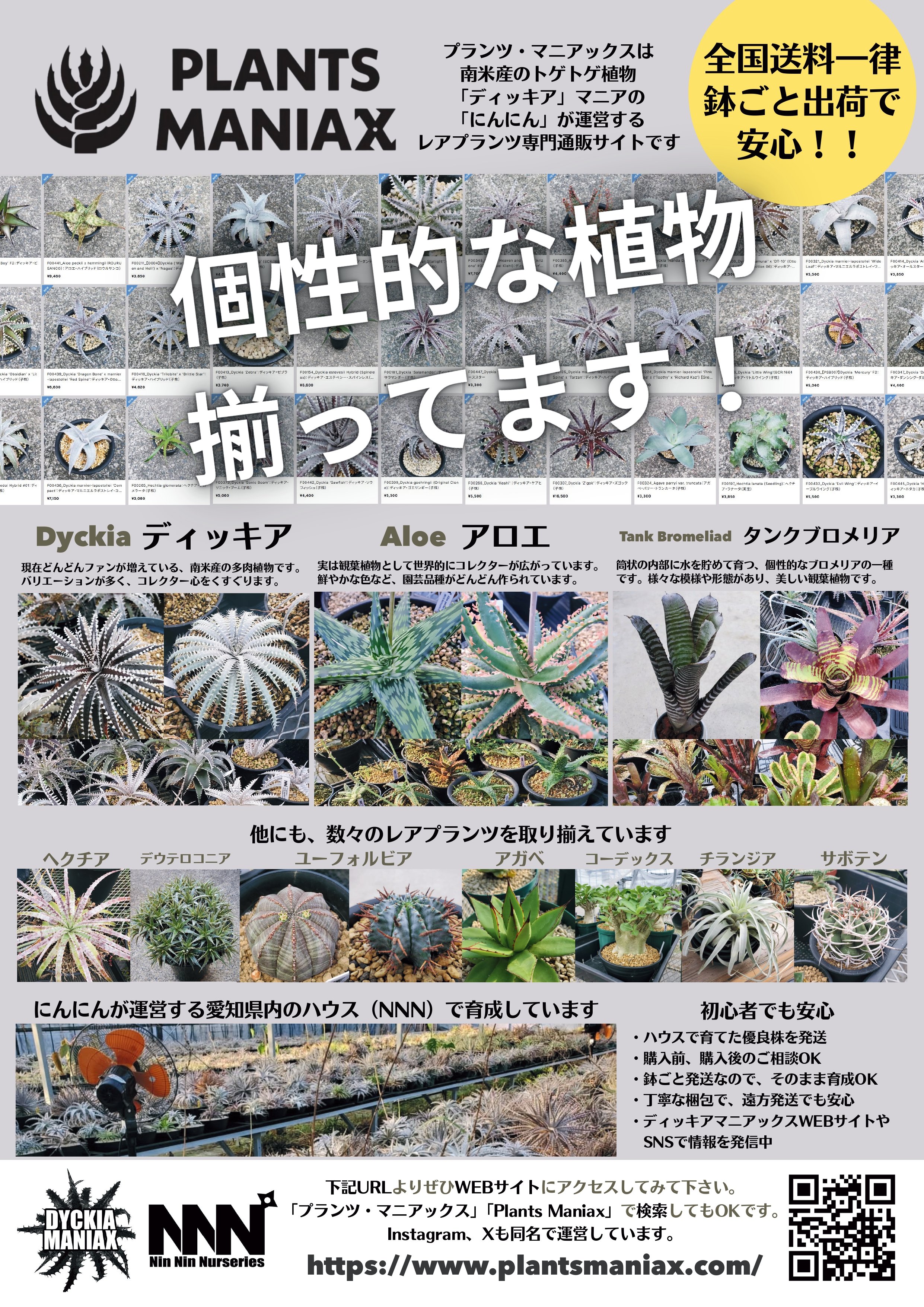 Plants Maniax（プランツ・マニアックス） (@plantsmaniax) / X
