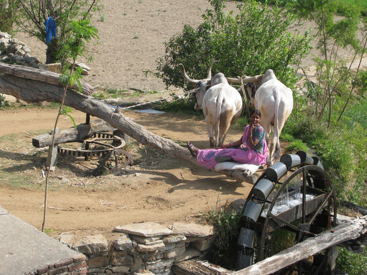 "Pani Pani Re" 
#Udaipur