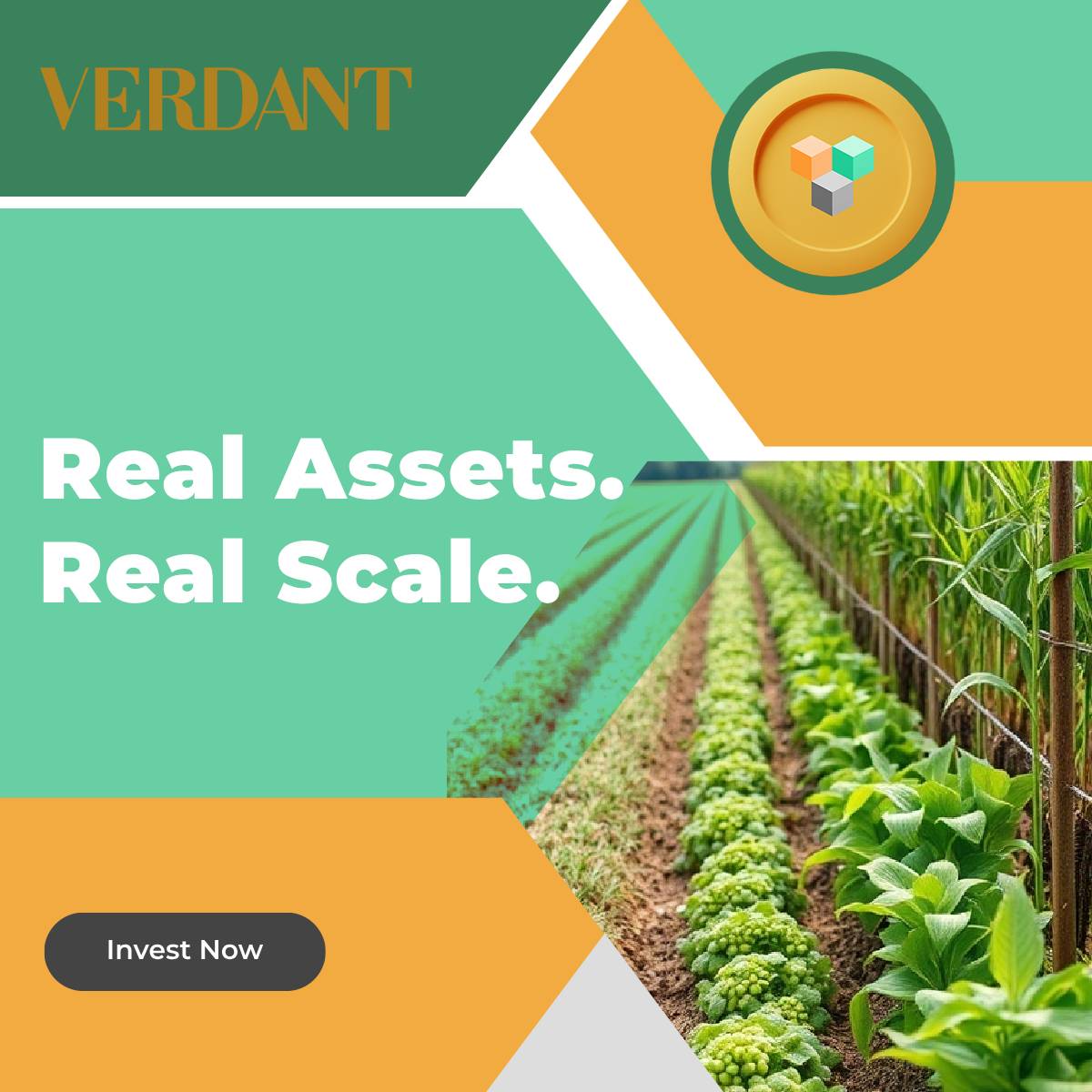 APF Digital Agrifund tweet media