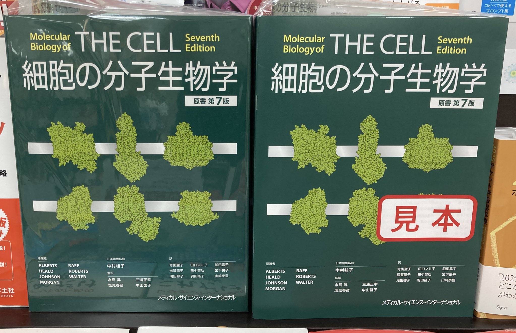 健康・医学 The CELL 丸善お茶の水店 on X: 