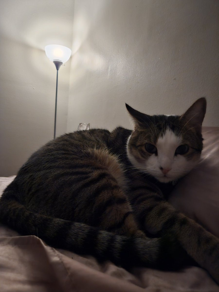KPKillerQueen's tweet photo. Bed time be like https://t.co/hjOpUoLHVM