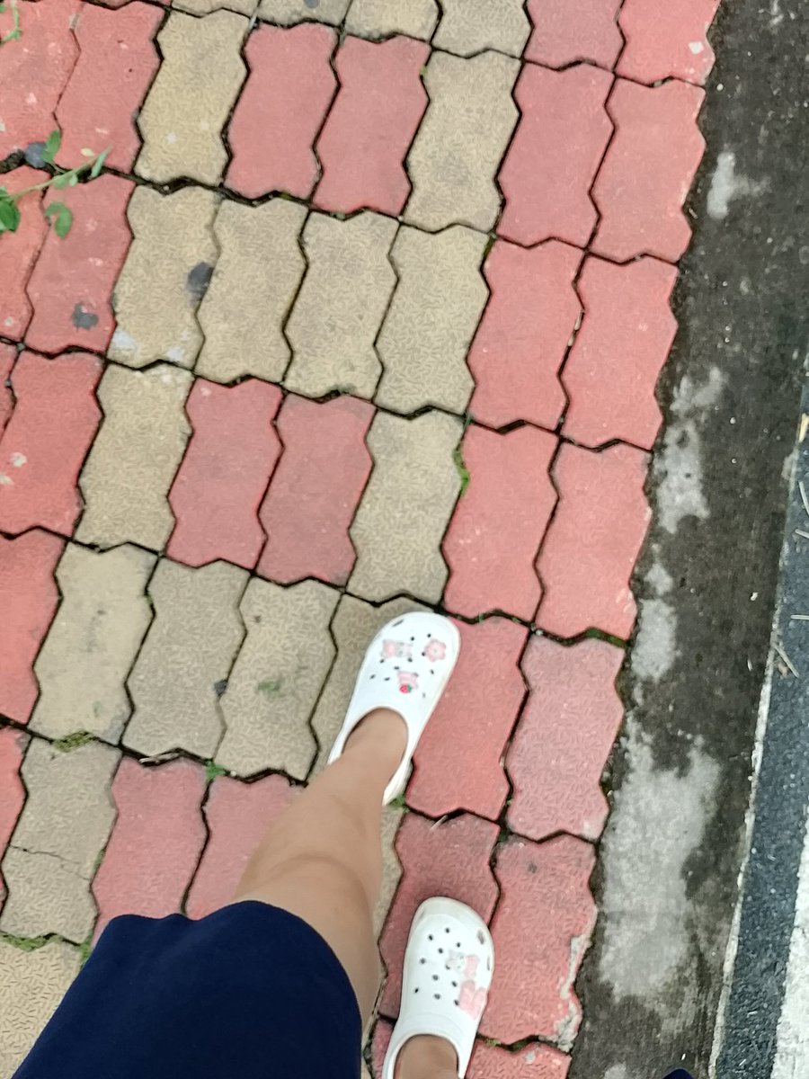 SangayTee's tweet photo. Sometimes all you have to do is walk alone.✨ 
#sangaywangmodorji https://t.co/IasV8j5FHw