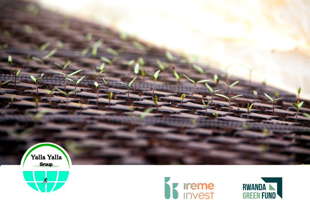 yallayallagroup's tweet photo. Under the Innovation Center for Climate-led Horticulture (ICCH) project, @yallayallagroup is driving climate-smart innovation by promoting greenhouse farming &amp; solar-powered cold storage boosting resilience and reducing post-harvest losses. Proud to collaborate with @GreenFundRw https://t.co/q46U5exqWY