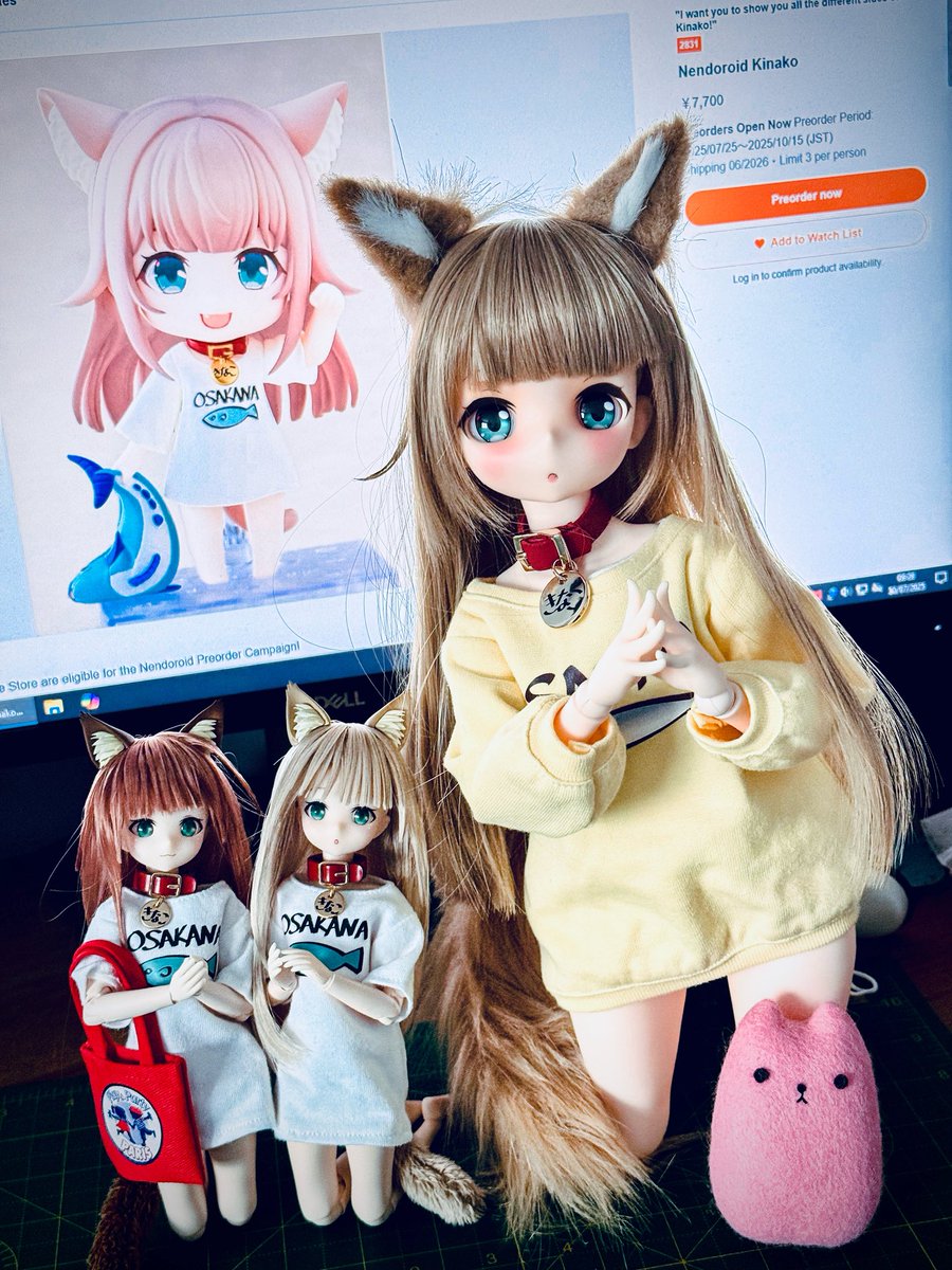 ⭐︎きなこ⭐︎ DBCきなこ – търсене / X