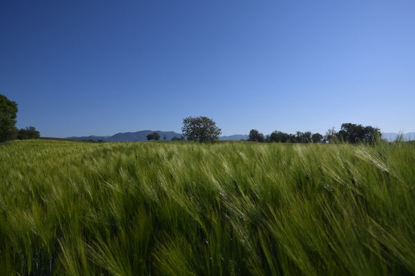 📣Ets agroproductor/a? Vols diversificar els ingressos amb els crèdits de carboni? Això t'interessa

📌Jornada: crèdits de carboni aplicats a l’agricultura i ramaderia
📅18 de setembre
⏰De 9 a 13:30h
🏚️Mas Les Gambires

Més info i inscripcions 👉creaccio.cat/ets-agroproduc…
