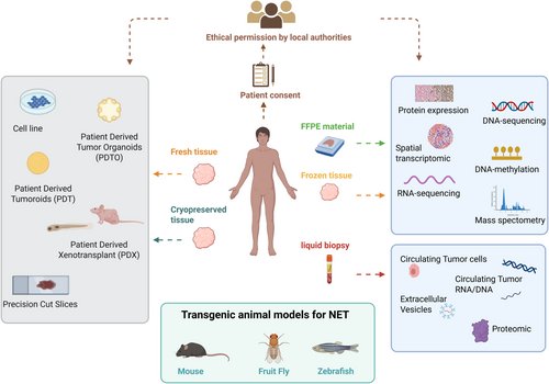 Alejandro Garcia tweet media