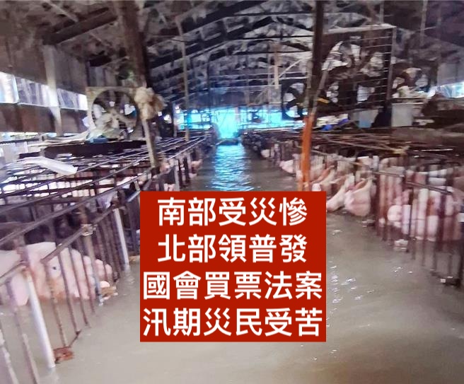 嘉南高屏的狀況很慘。

嘉義不只一間養豬場是這個情況，上千頭豬泡在水裡。

財劃法分走中央兩千億，普發再拿兩千億，嘉南高屏連續受災，中央幾乎已經沒錢給災民重建家園，丹納斯台南一萬戶屋頂掀掉，中央也只能撥11億，然後國會要把錢拿去給臺北那些有房有產的退休老人發一萬。