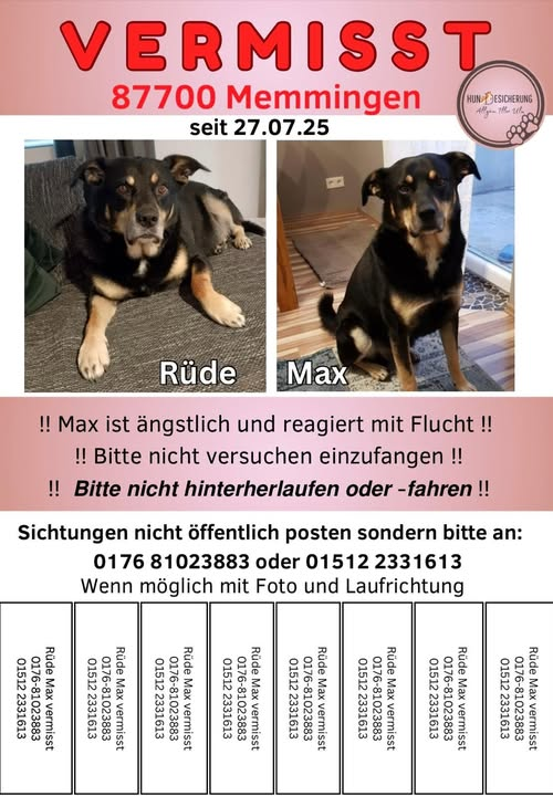 87700 Memmingen
Mysteriöses verschwinden von Max.... wer kann Hinweise geben!!! kOPIE:
Am Sonntagmorgen gegen 10 Uhr ist Max, ein Hund mit enger Bindung zu seinem Zuhause, plötzlich und unerklärlich verschwunden. Beim Spaziergang – in vertrauter Umgebung, ganz wie immer – war er