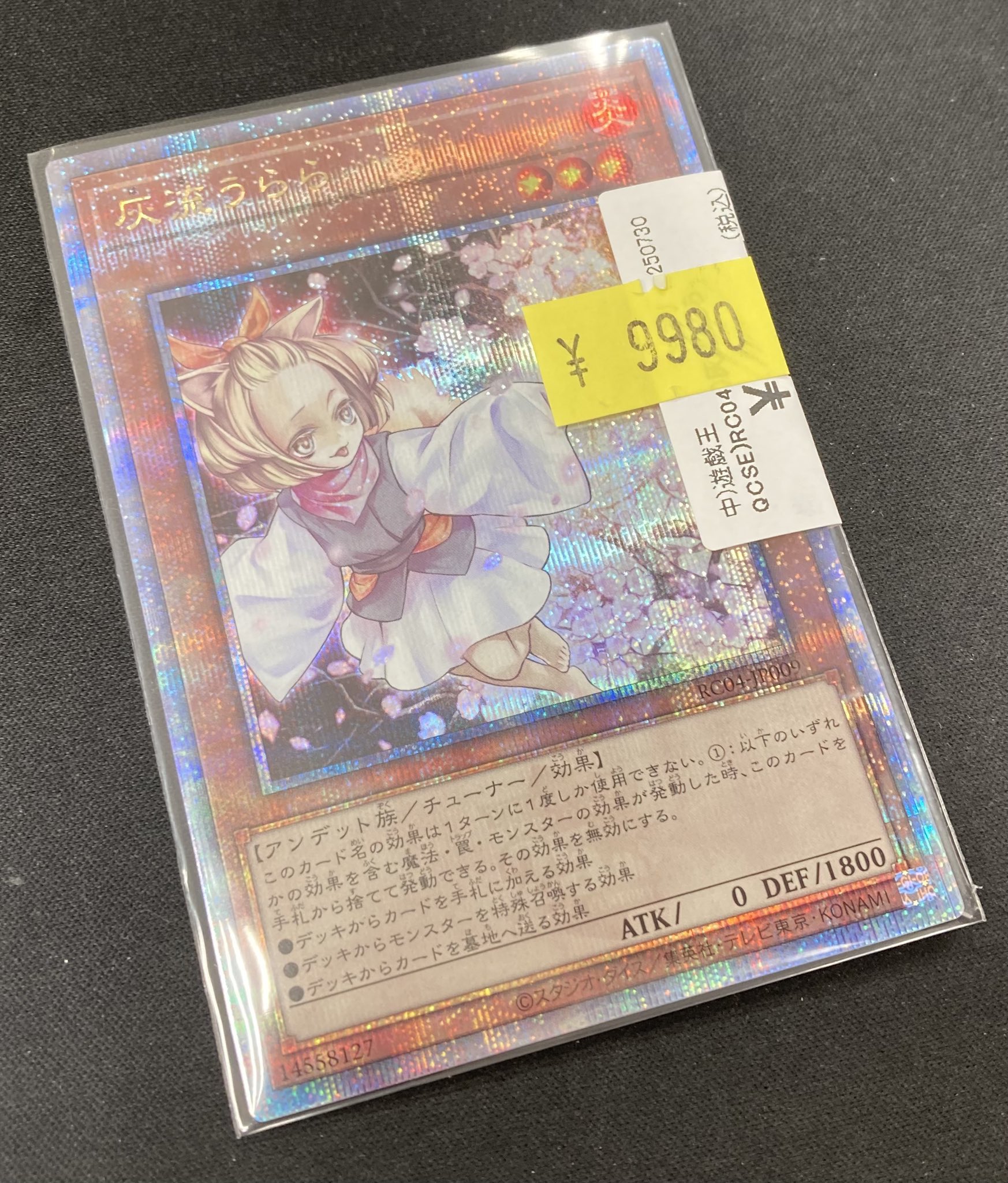 灰流うらら Bee本舗@大阪本店 on X: 