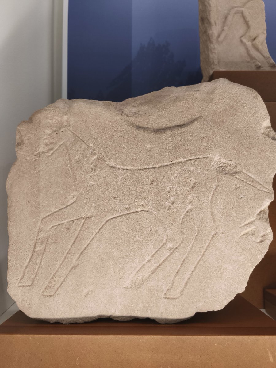 Museo Íbero de Jaén (@museo_ibero) on Twitter photo Los caballos eran símbolo de poder y privilegio en el tiempo de los íberos, prueba de ello son los numerosos relieves que han sido hallados en santuarios íberos representando a estos animales
👉 Acércate al museo, conoce algunos de estos relieves...
<a href="/CulturaAND/">Cultura Junta de Andalucía</a> <a href="/culturayPHJaen/">Cultura #Jaén</a> Los caballos eran símbolo de poder y privilegio en el tiempo de los íberos, prueba de ello son los numerosos relieves que han sido hallados en santuarios íberos representando a estos animales
👉 Acércate al museo, conoce algunos de estos relieves...
<a href="/CulturaAND/">Cultura Junta de Andalucía</a> <a href="/culturayPHJaen/">Cultura #Jaén</a>
