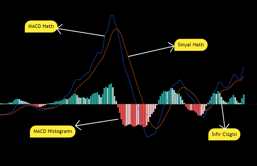 EĞİTİM ÇALIŞMASI      
Grafik çalışmalarımı faydalı buluyorsanız eğer, TAKİP etmeyi ve BEĞENMEYİ unutmamanızı rica ediyorum. Teşekkür ederim.
#avtur #avhol #akgrt #anhyt #acsel #bakab #bagfs #burce #burva #bryat
