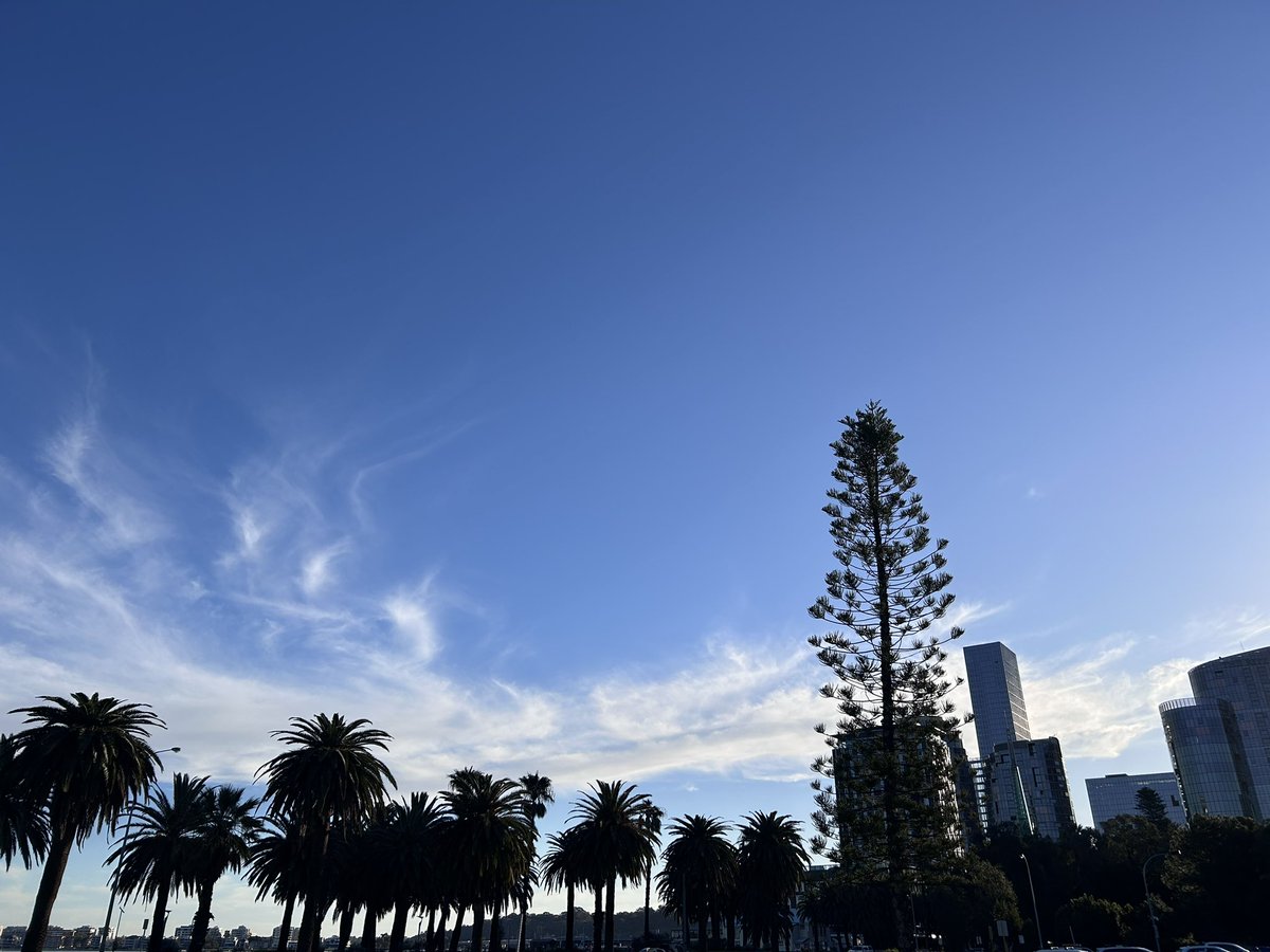 freopics_'s tweet photo. Cold but gorgeous arvo #cityofperth https://t.co/6xN6lzWjDE