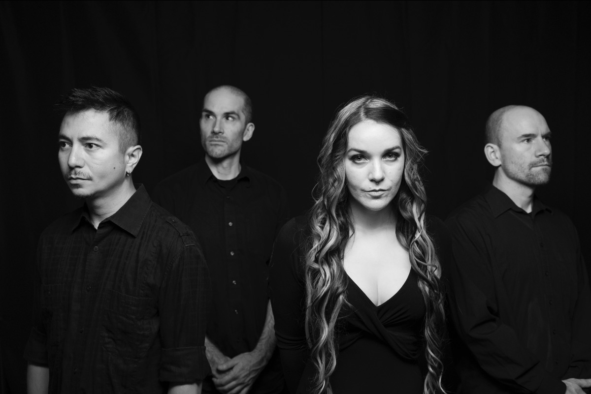 Distorted Sound tweet media