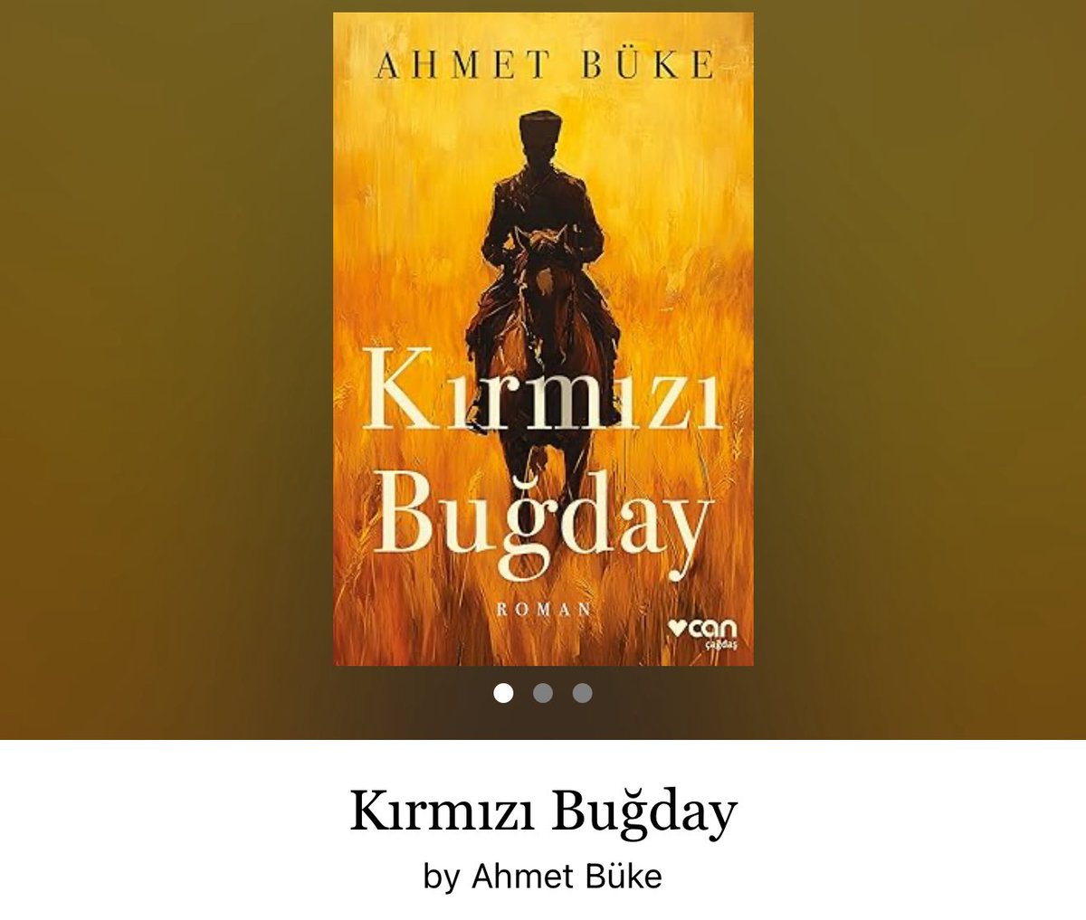 Yılın kitabı bence, yıllar geçtikte değeri artarak devam edecek. Büyük bir roman olmuş böyle katman katman. Bayıldık.