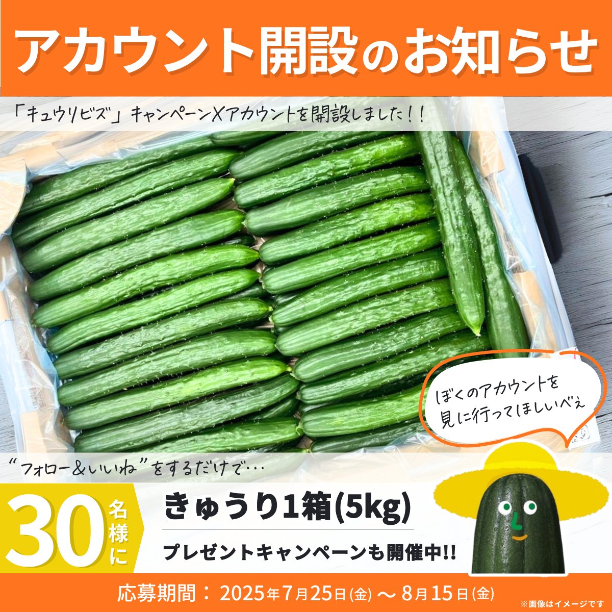 きゅうりの消費拡大を目的とした活動「#キュウリビズ」を広めるために