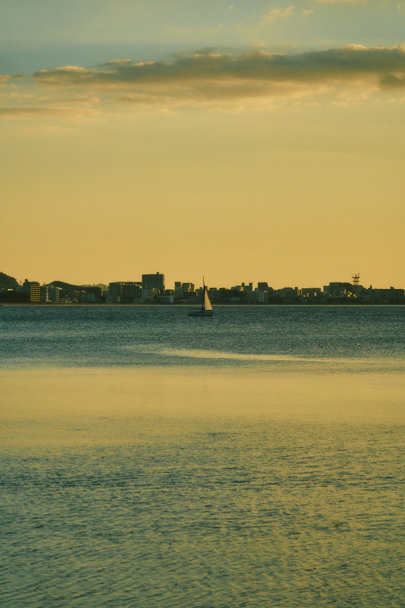 shintake_photo's tweet image. Grateful for the sunset