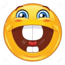 mitsu/shark tweet media