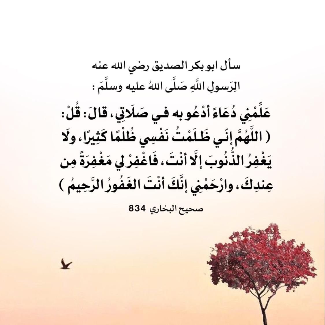 مشاعل بنت صالح الشثري (@measheil) on Twitter photo 