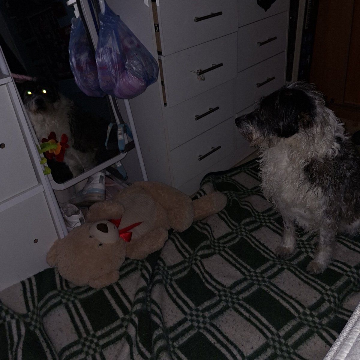 le saqué una foto a mi hija