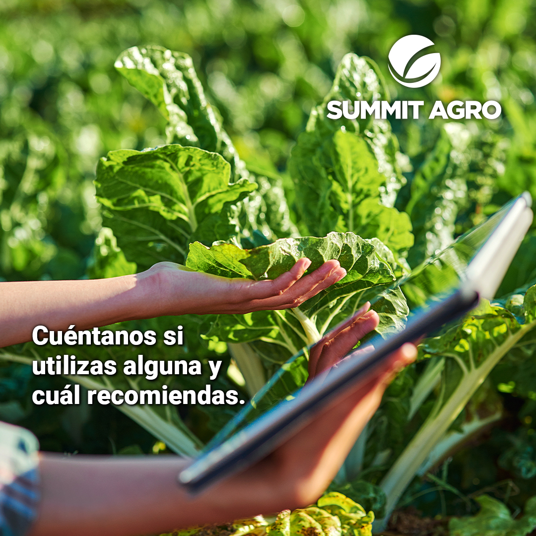 Tus lotes también necesitan organización. Moderniza tu campo y sácale provecho a la tecnología. 📱

 #tecnologia #agricultura #agronomia #campo