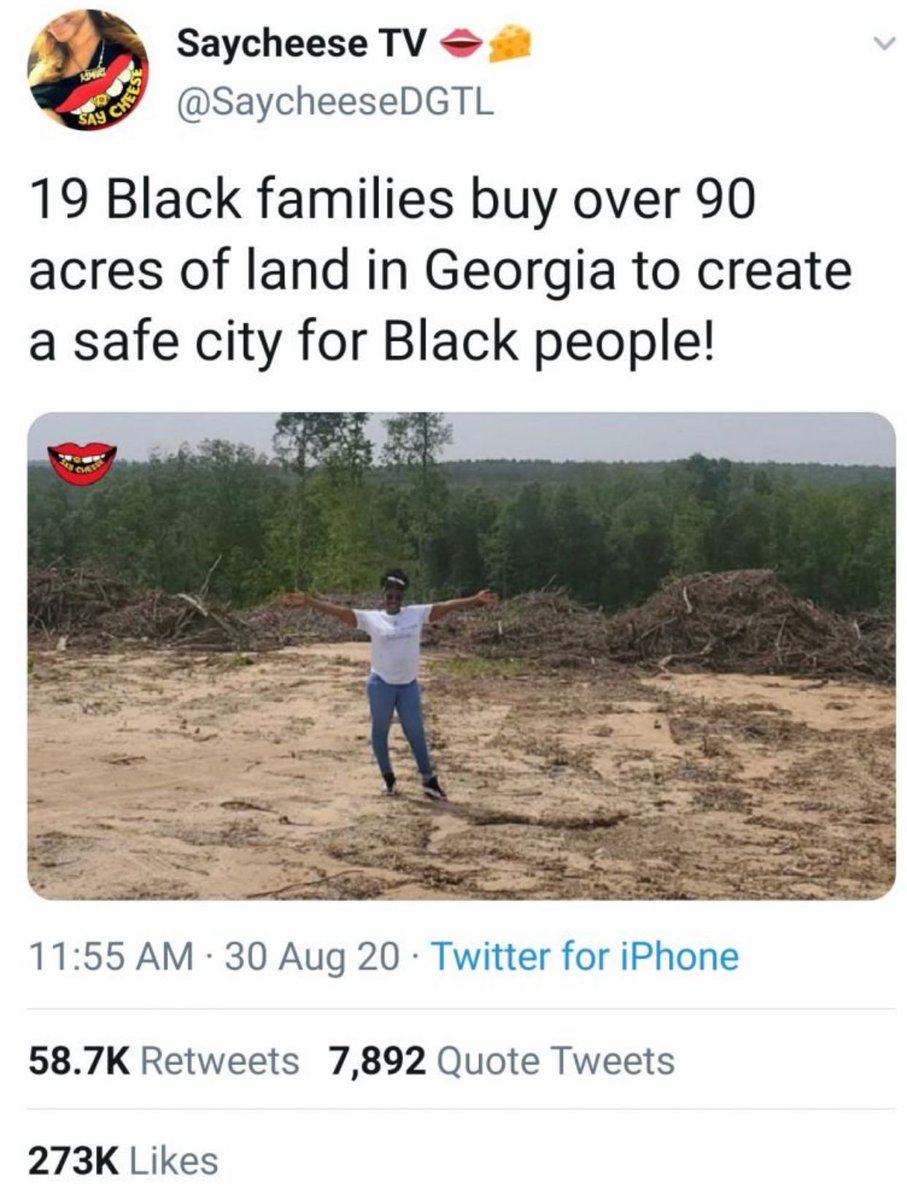 So did they end up building Wakanda?