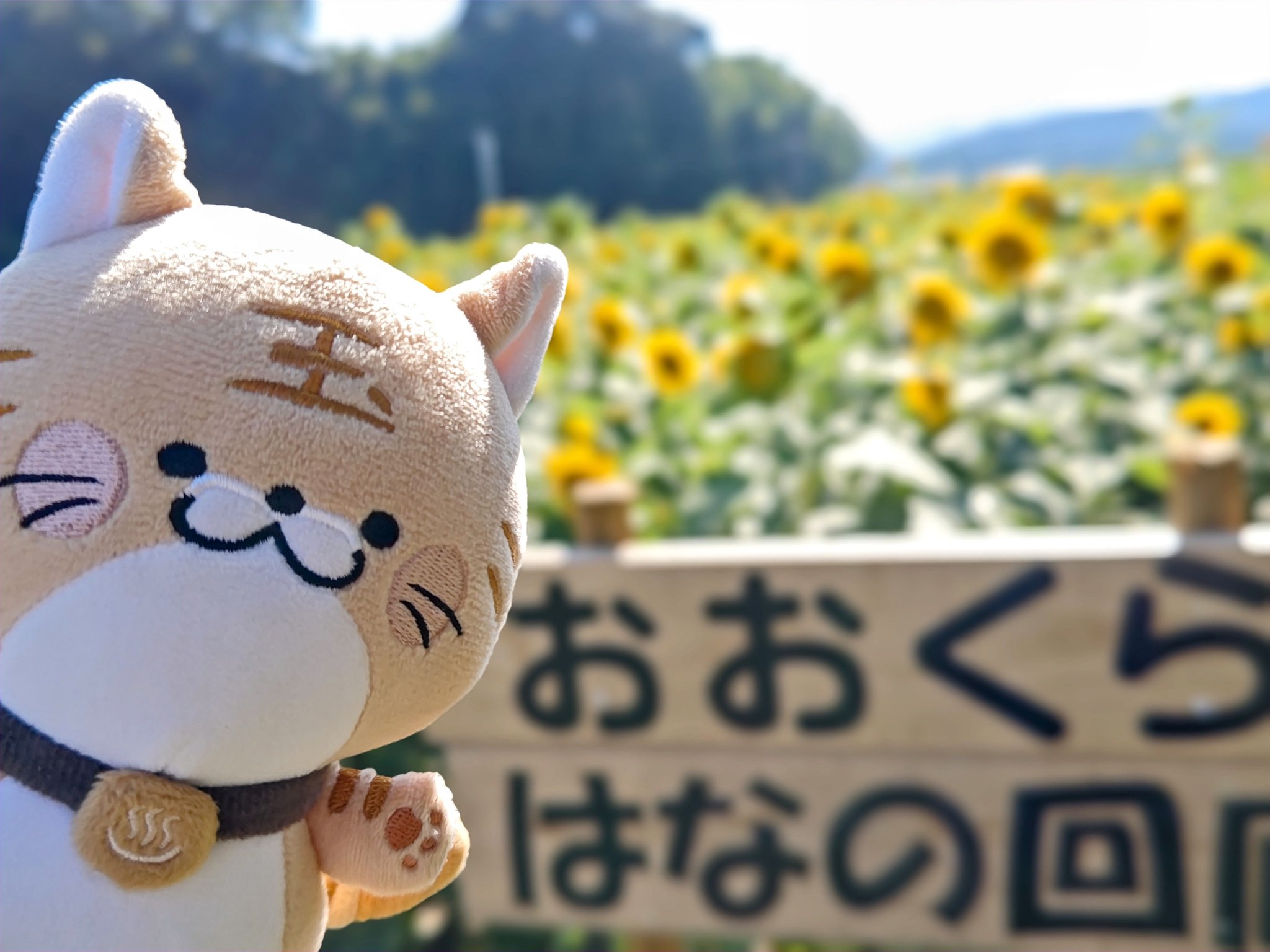 【やま】ひまわりカラーのお花ちゃん形オルゴナイト☆他８点 光るガーデンベア』 横浜の緑と花のキャラクター〝ガーデンベア