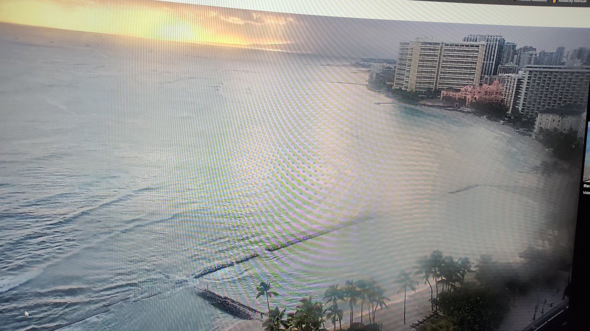 Haricot Vert tweet media