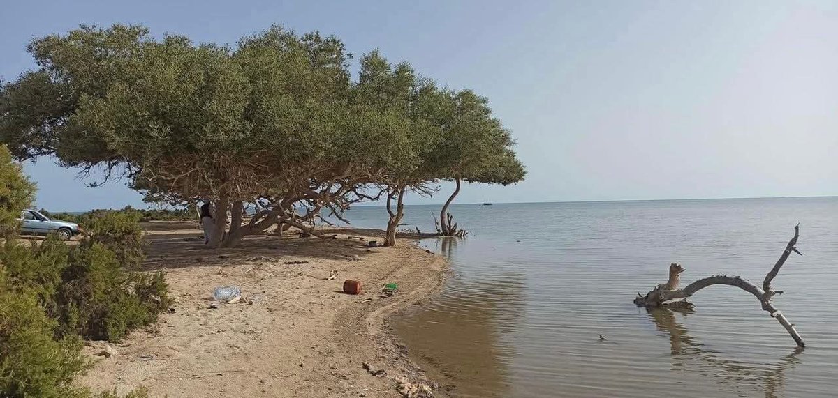 #السودان | شواطئ شلاتين - طبيعة خلابة وجمال لا يقاوم

#السودان_بلس 
#اعرف_أكثر 
#حلايب_سودانية
