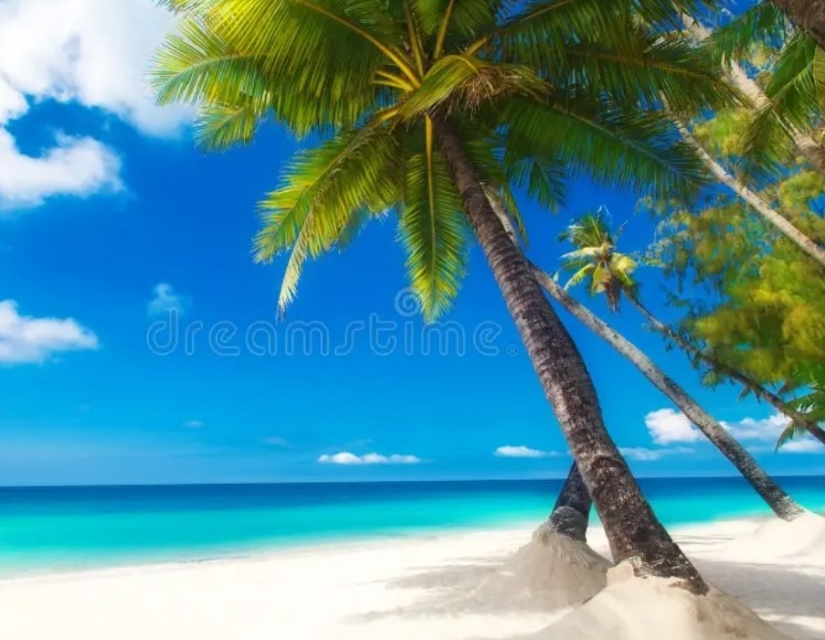 wealth_12's tweet photo. Summer vibes https://t.co/YK4IwJD4Zq