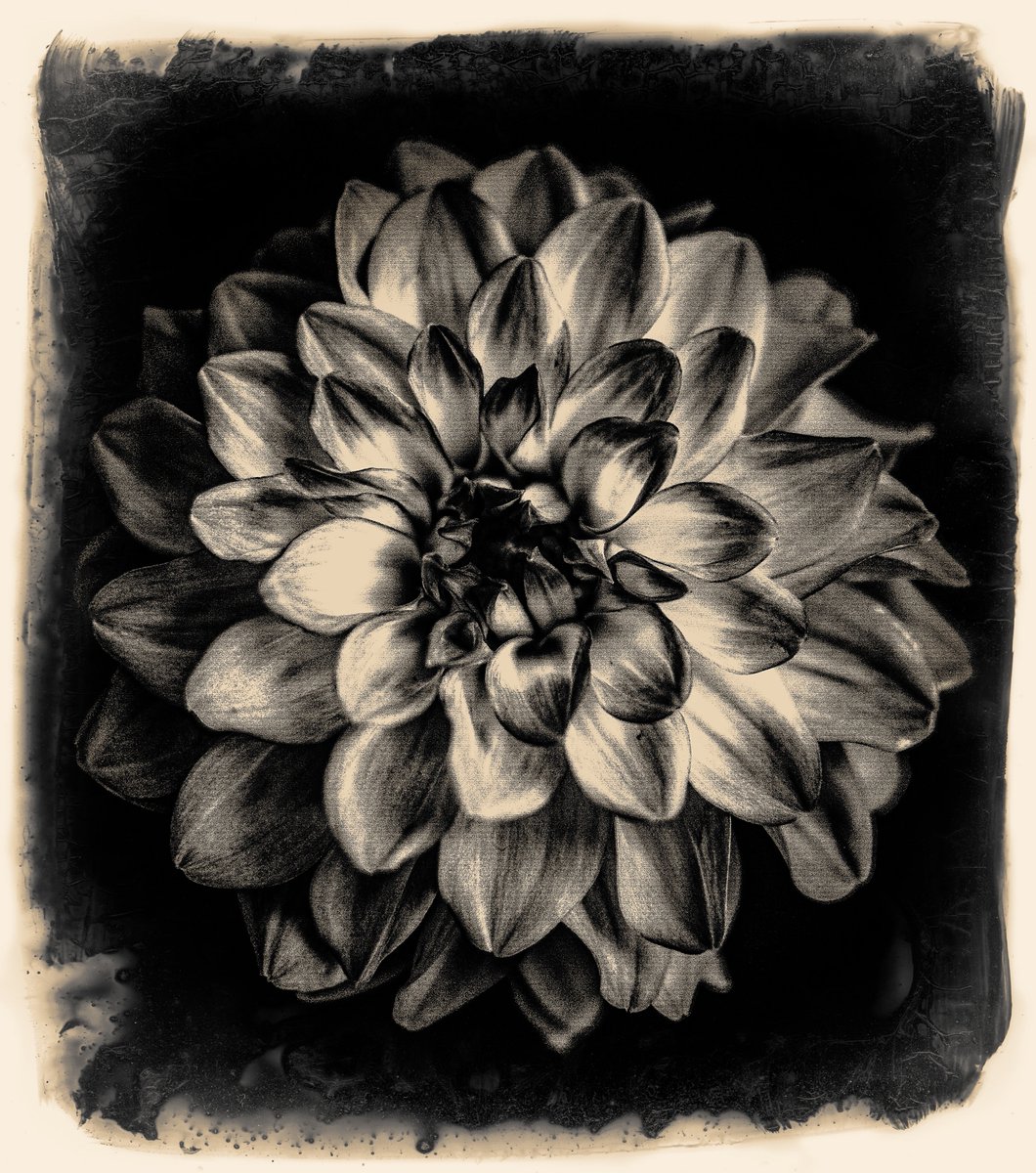 Shuichi Machimoto 町本修一。 (@machimoto19801) on Twitter photo 