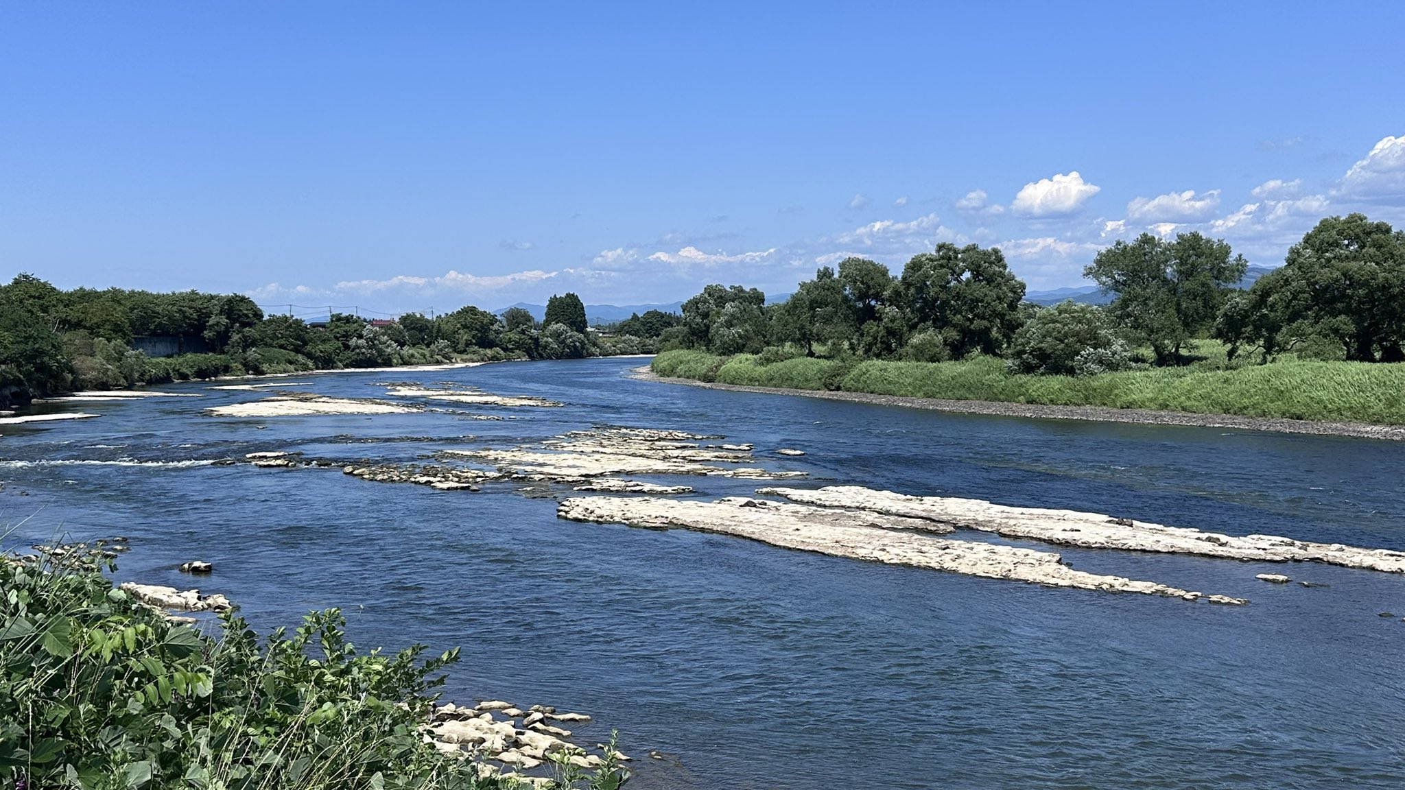高橋 望🌿👩🏻‍🌾 on X: 