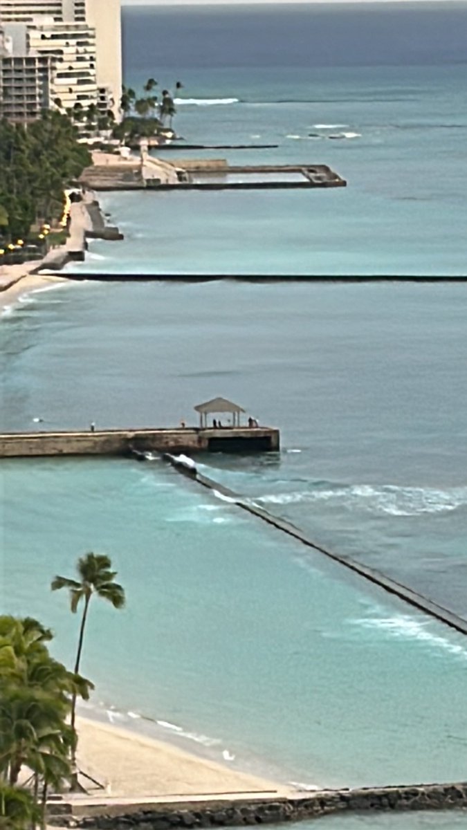 Nick Williams tweet media