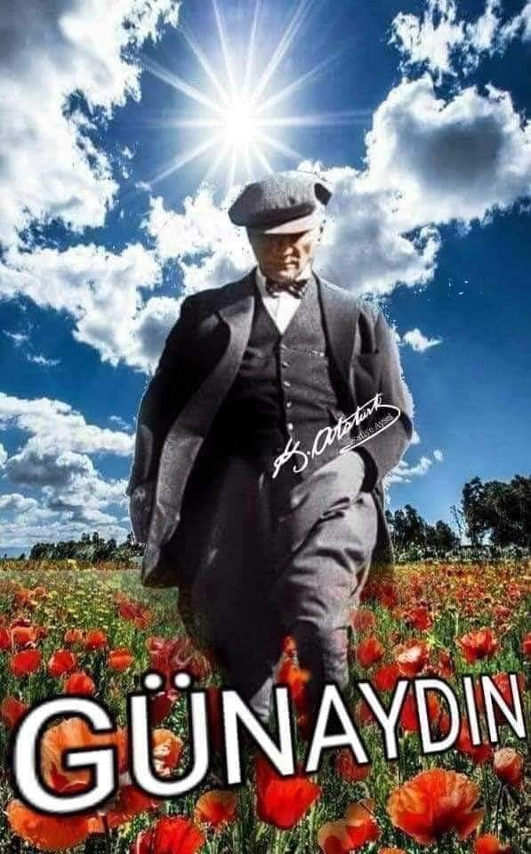Mehmet Tekin (@mehmettekin2424) on Twitter photo 
