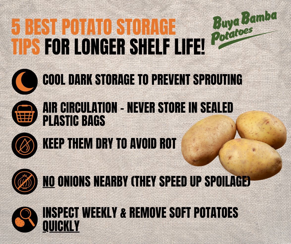 Want your fresh Buya Bamba potatoes to last longer? 💡🥔
🌑 Cool, dark storage to prevent sprouting
🧺 Air circulation – never store in sealed plastic bags
🌾 Keep them dry to avoid rot
🧅 No onions nearby (they speed up spoilage)
🔍 Inspect weekly &amp; remove soft potatoes quickly