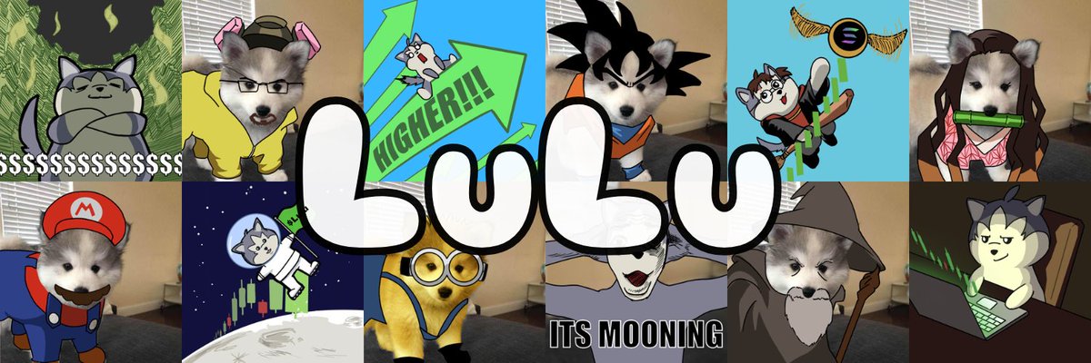 check banner de $lulu