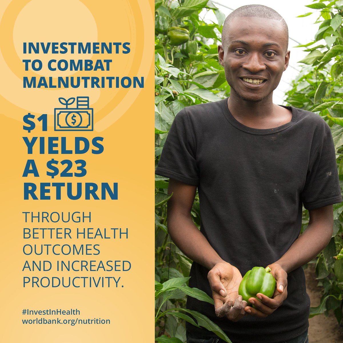 World Bank Health (@wbg_health) on Twitter photo How can investing in nutrition impact economic growth?
Axel van Trotsenburg's <a href="/AxelVT_WB/">Axel van Trotsenburg</a> blog reveals how smart investments in eliminating malnutrition can yield high returns in health and productivity. #InvestInHealth
Read more: wrld.bg/uWyf50VsK0q How can investing in nutrition impact economic growth?
Axel van Trotsenburg's <a href="/AxelVT_WB/">Axel van Trotsenburg</a> blog reveals how smart investments in eliminating malnutrition can yield high returns in health and productivity. #InvestInHealth
Read more: wrld.bg/uWyf50VsK0q