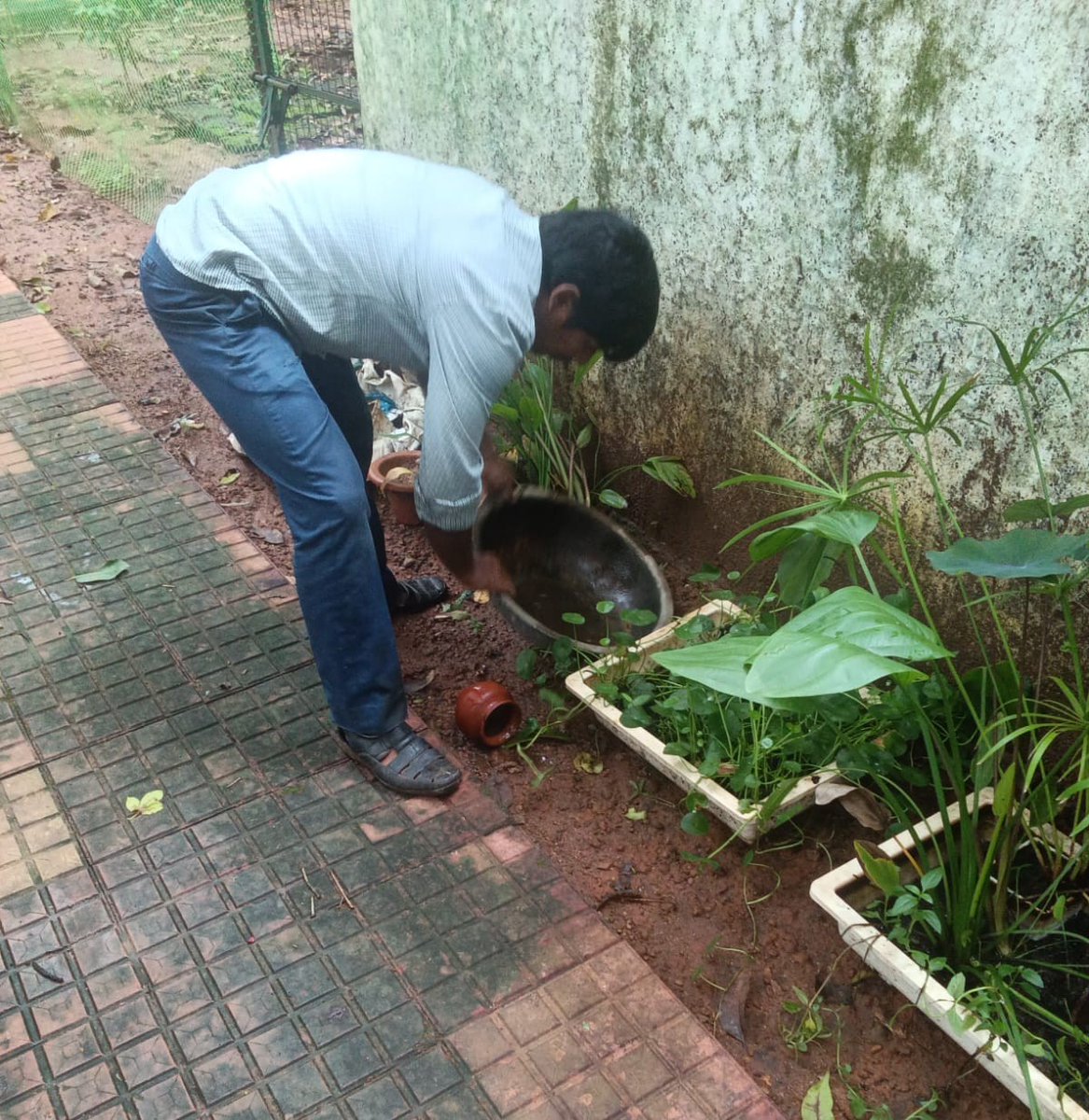 BMC (@bmcbbsr) on Twitter photo Dengue awareness drive continues by BMC.
Dengue Volunteers moving around and sensitizing the citizens on ways to eliminate #Dengue. Source reduction is also being done by the team.
#StopDengue #StayHealthy #StaySafe
<a href="/CMO_Odisha/">CMO Odisha</a> <a href="/IPR_Odisha/">I & PR Department, Odisha</a> <a href="/HUDDeptOdisha/">H & UD Dept</a> <a href="/HFWOdisha/">H & FW Dept Odisha</a> <a href="/nhmodisha/">NHM Odisha</a> Dengue awareness drive continues by BMC.
Dengue Volunteers moving around and sensitizing the citizens on ways to eliminate #Dengue. Source reduction is also being done by the team.
#StopDengue #StayHealthy #StaySafe
<a href="/CMO_Odisha/">CMO Odisha</a> <a href="/IPR_Odisha/">I & PR Department, Odisha</a> <a href="/HUDDeptOdisha/">H & UD Dept</a> <a href="/HFWOdisha/">H & FW Dept Odisha</a> <a href="/nhmodisha/">NHM Odisha</a>