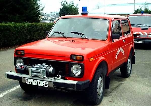 TeamBestioles tweet media