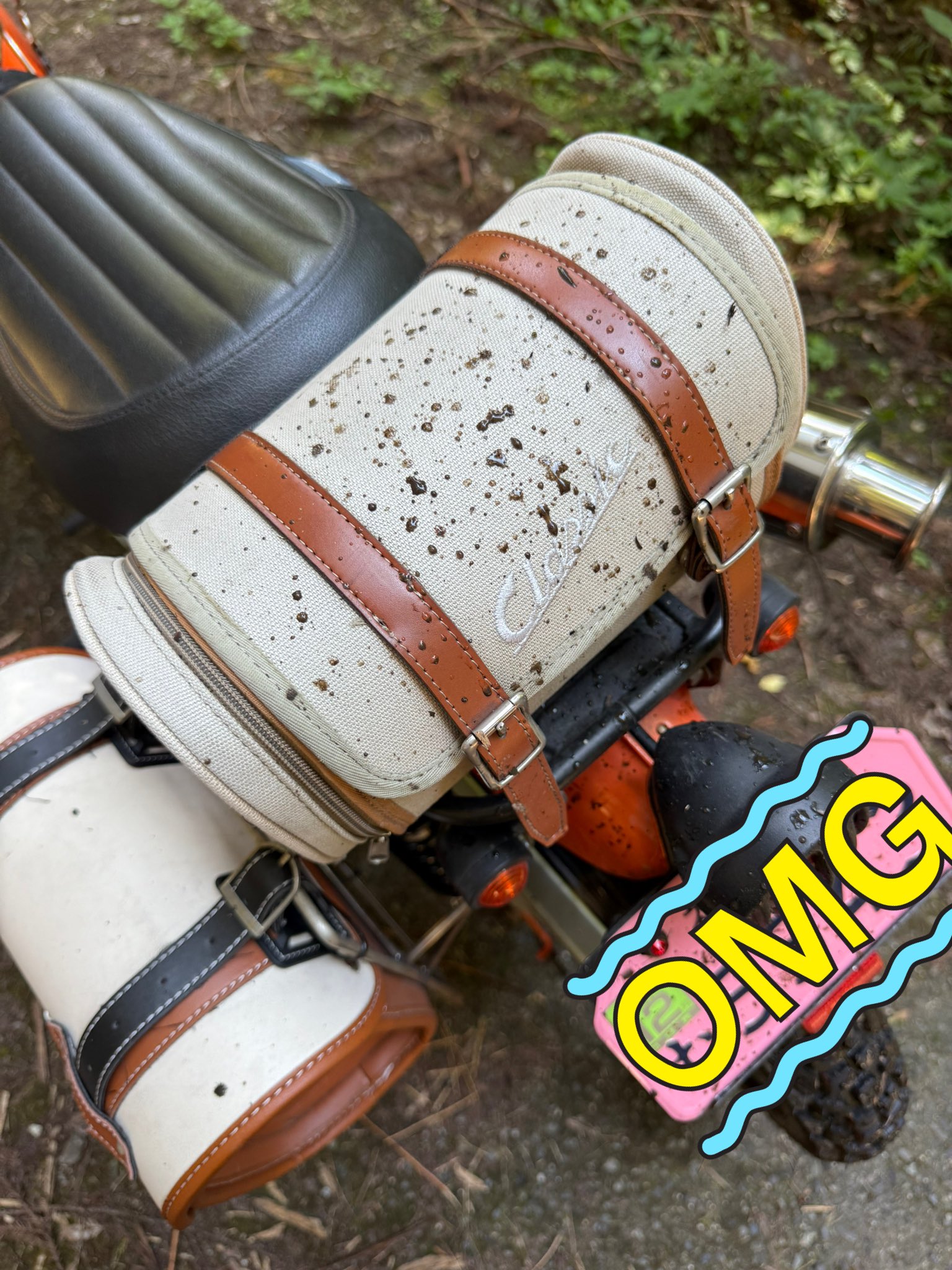 (ゆうこりん様) 91082rrGrWL._UF350,350_QL50_.jpg