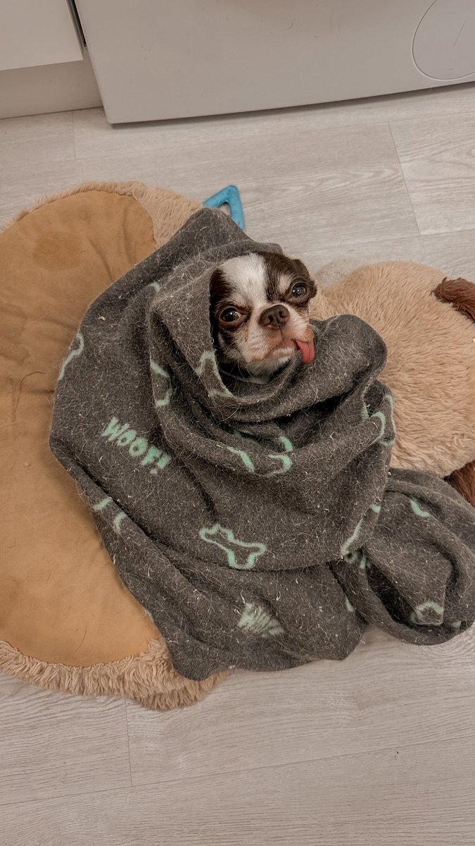 no sé quién tiene más sueño a las 7 d la mañana, si él o yo