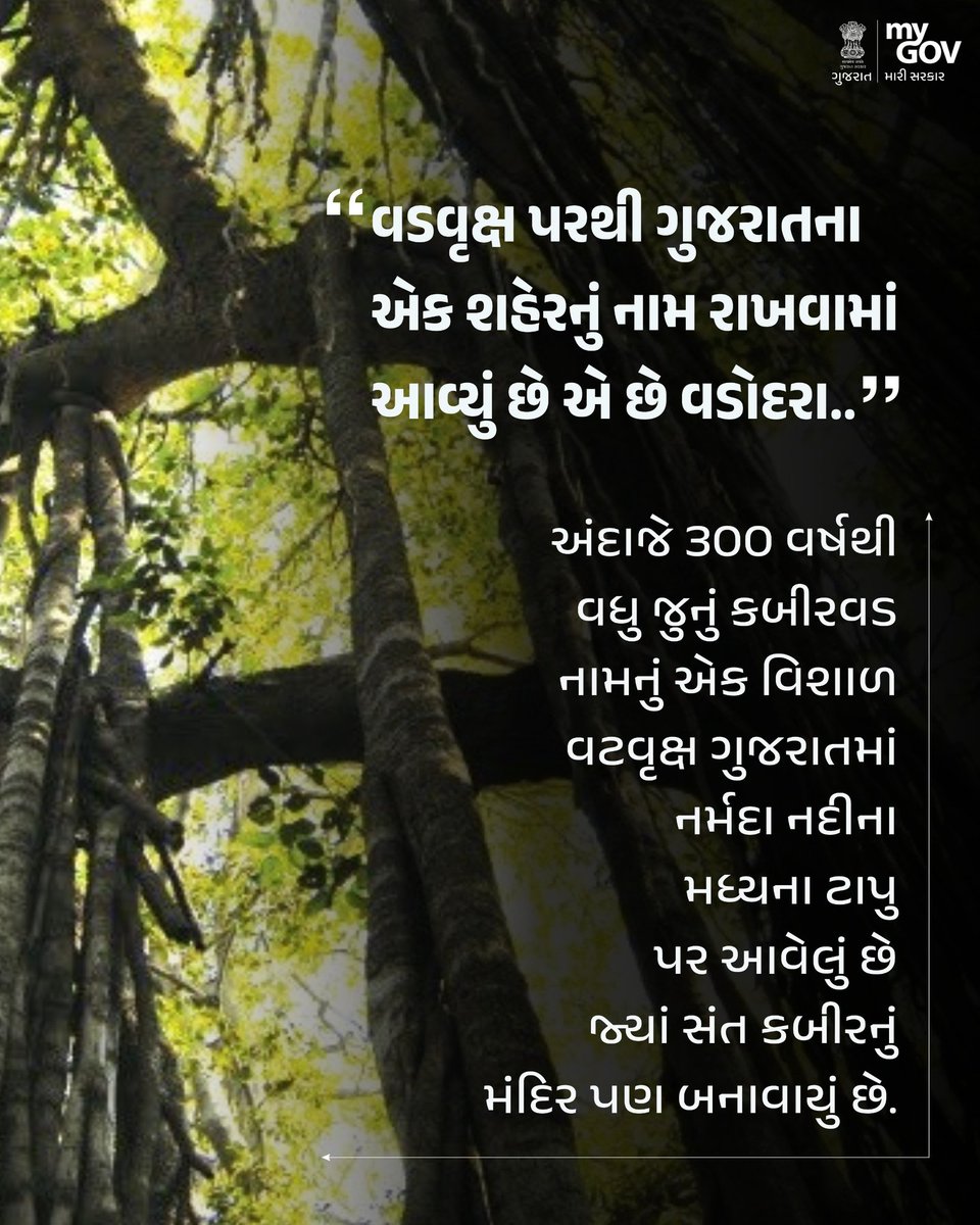 MyGov_Gujarat's tweet image. #DidYouKnow : વડવૃક્ષ પરથી ગુજરાતના એક શહેરનું નામ રાખવામાં આવ્યું છે એ છે વડોદરા..

#Vadodara #GloryOfGujarat @CollectorVad