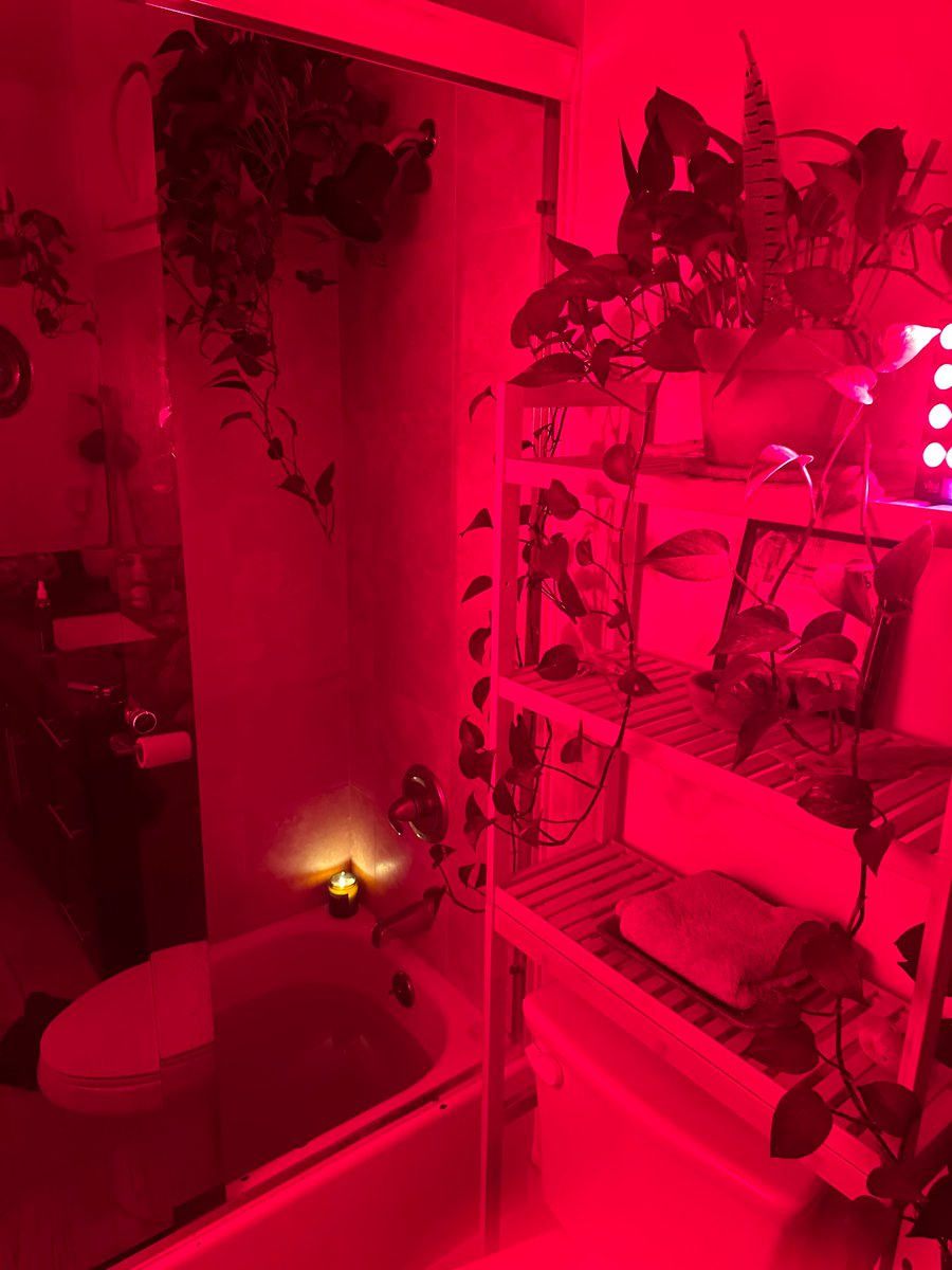 Baths hit different. 

Magnesium salts, bentonite clay, essential oils, apple cider vinegar, non-toxic candle, red light, jazz